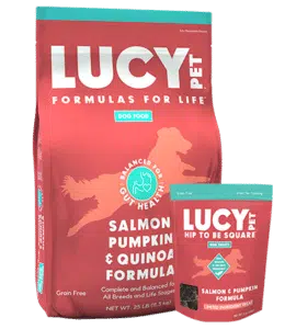 Salmon Pumpkin and Quinoa Formula for dogs