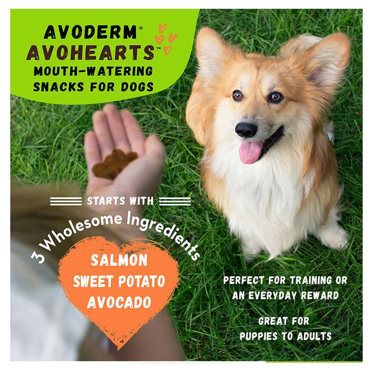 AVODERM AVOHEARTS Salmon Avocado Formula