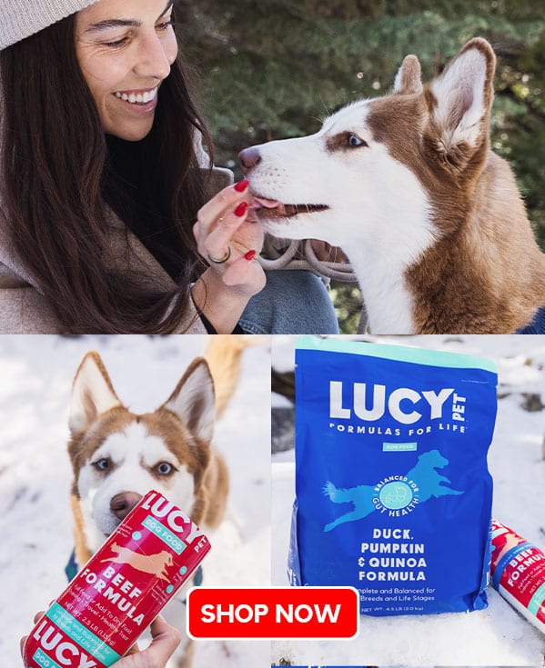 Healthy Natural Pet Foods Online Lucy Pet Foods