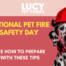 Pet Fire Safety